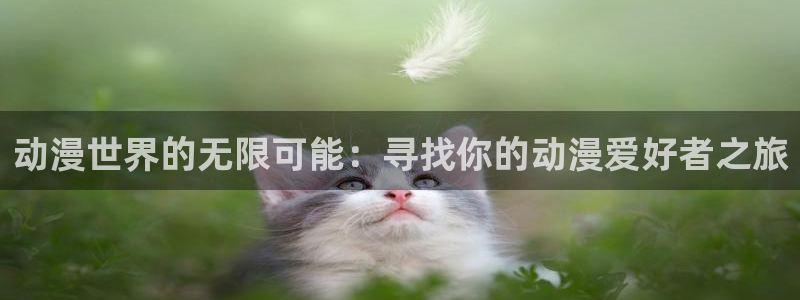 韩国漫画平台kakaopage：动漫世界的无限可能：寻找你的动漫爱好者之旅