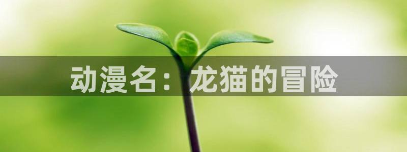age动漫正版网：动漫名：龙猫的冒险