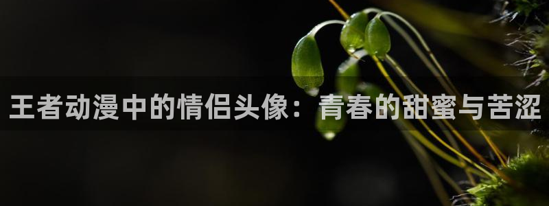age动漫omofun：王者动漫中的情侣头像：青春的甜蜜与苦涩