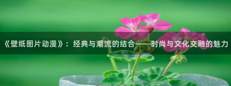 colamanage漫画官网：《壁纸图片动漫》：经典与潮流的结合——时尚与文化交融的魅力