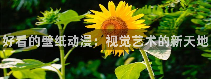 age专注动漫的门户网站：好看的壁纸动漫：视觉艺术的新天地