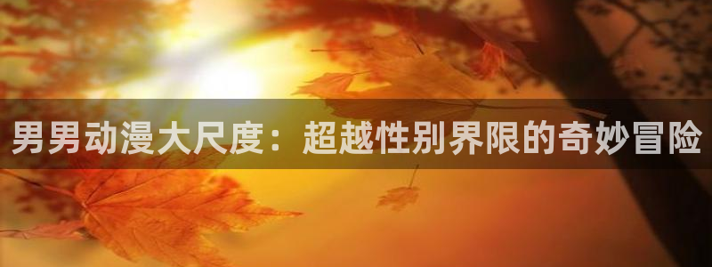 age漫画网：男男动漫大尺度：超越性别界限的奇妙冒险