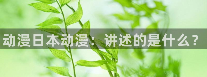 age动漫网官网入口：动漫日本动漫：讲述的是什么？