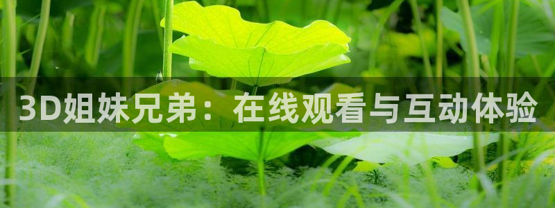 在线动画动漫下载age动漫：3D姐妹兄弟：在线观看与互动体验