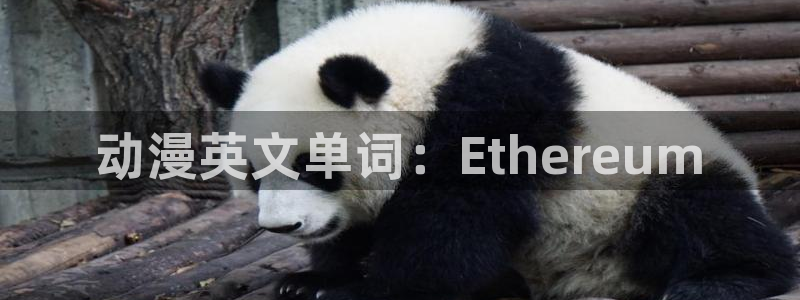 age动漫下载动漫全免费：动漫英文单词：Ethereum