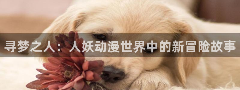 age动漫专注动漫的门户网站：寻梦之人：人妖动漫世界中的新冒险故事
