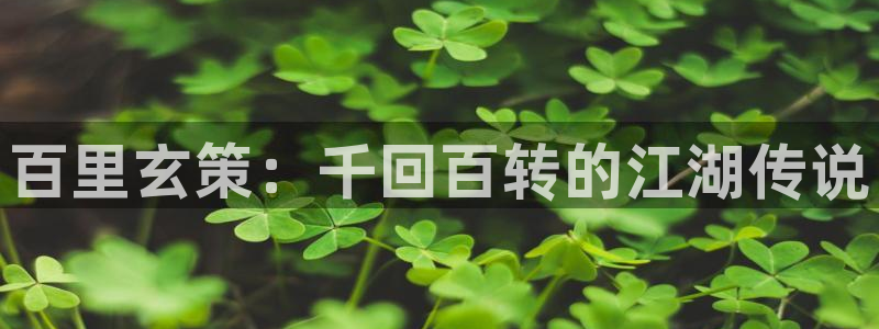 age动漫官网入口老版本：百里玄策：千回百转的江湖传说