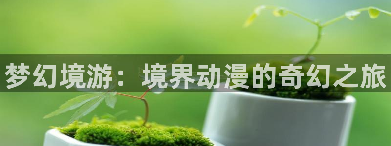age动漫网上看：梦幻境游：境界动漫的奇幻之旅