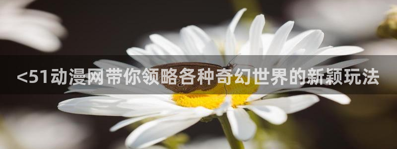 age动漫官网在线入口：<51动漫网带你领略各种奇幻世界的新颖玩法