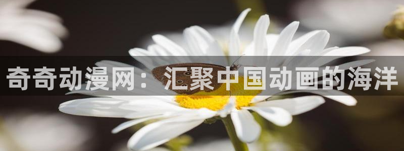 age樱花动漫：奇奇动漫网：汇聚中国动画的海洋
