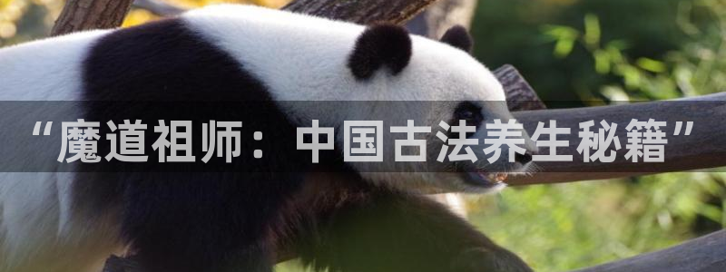 age动漫网上看：“魔道祖师：中国古法养生秘籍”