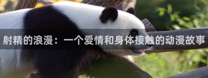 backstage韩漫免费观看：射精的浪漫：一个爱情和身体接触的动漫故事