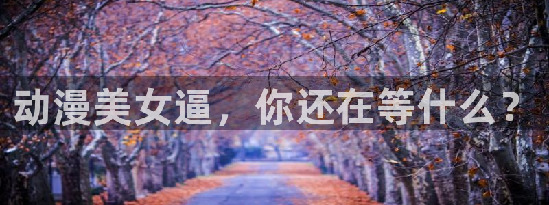 age动漫樱花：动漫美女逼，你还在等什么？