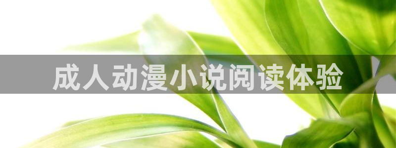 colamanage漫画官网：成人动漫小说阅读体验