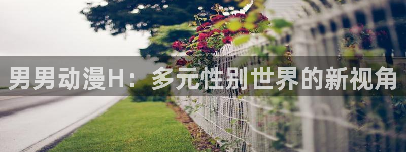 age动漫官网樱花动漫：男男动漫H：多元性别世界的新视角