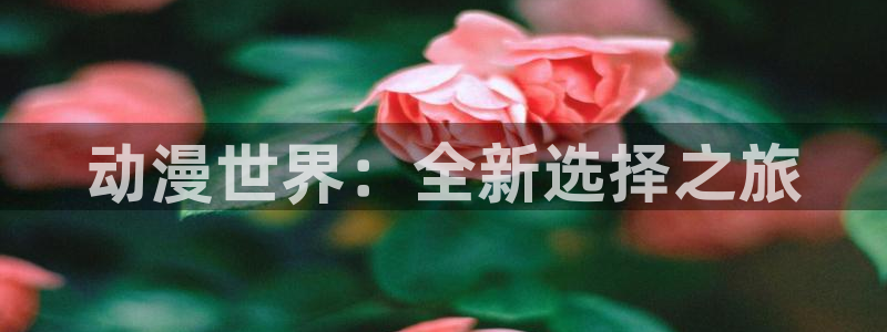 age动漫下载动漫全免费：动漫世界：全新选择之旅