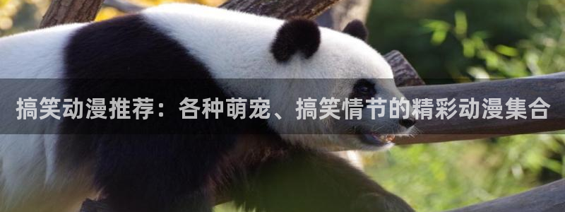 age动漫官网网址：搞笑动漫推荐：各种萌宠、搞笑情节的精彩动漫集合