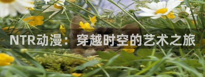 age动漫网：NTR动漫：穿越时空的艺术之旅