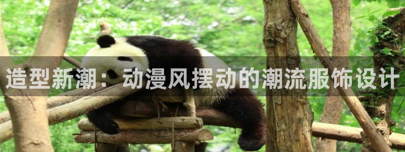 age动漫网下载：造型新潮：动漫风摆动的潮流服饰设计