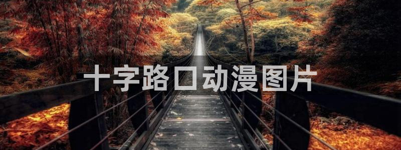 colamanage漫画：十字路口动漫图片
