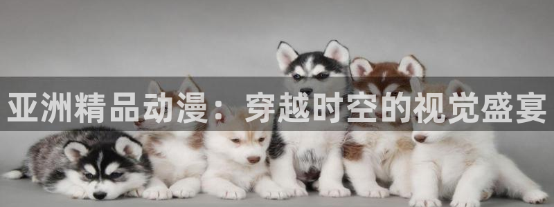 age漫画网：亚洲精品动漫：穿越时空的视觉盛宴