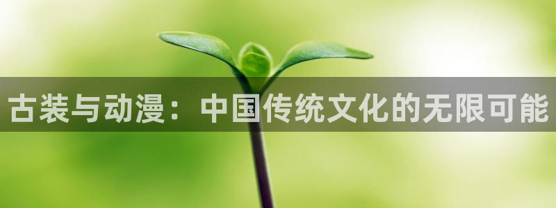 managereader漫画官网入口：古装与动漫：中国传统文化的无限可能