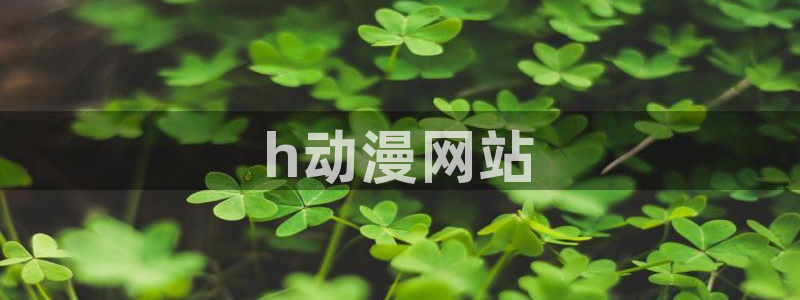 age动漫网官网入口：h动漫网站